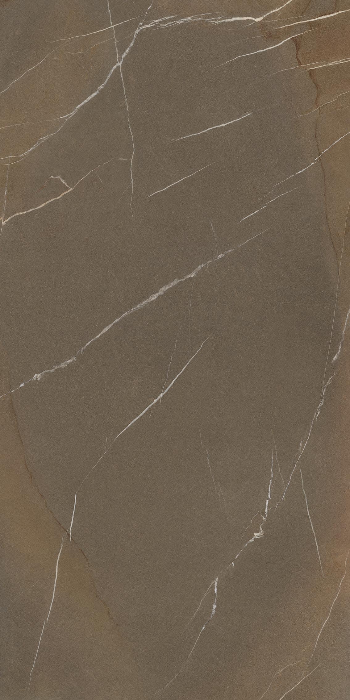 PietraPiasentinaTaupe-InSide-XL-Flamed-F2-Laminam