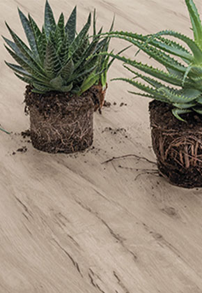  Les pilotis de la Sérénissime en version élégante et raffinée