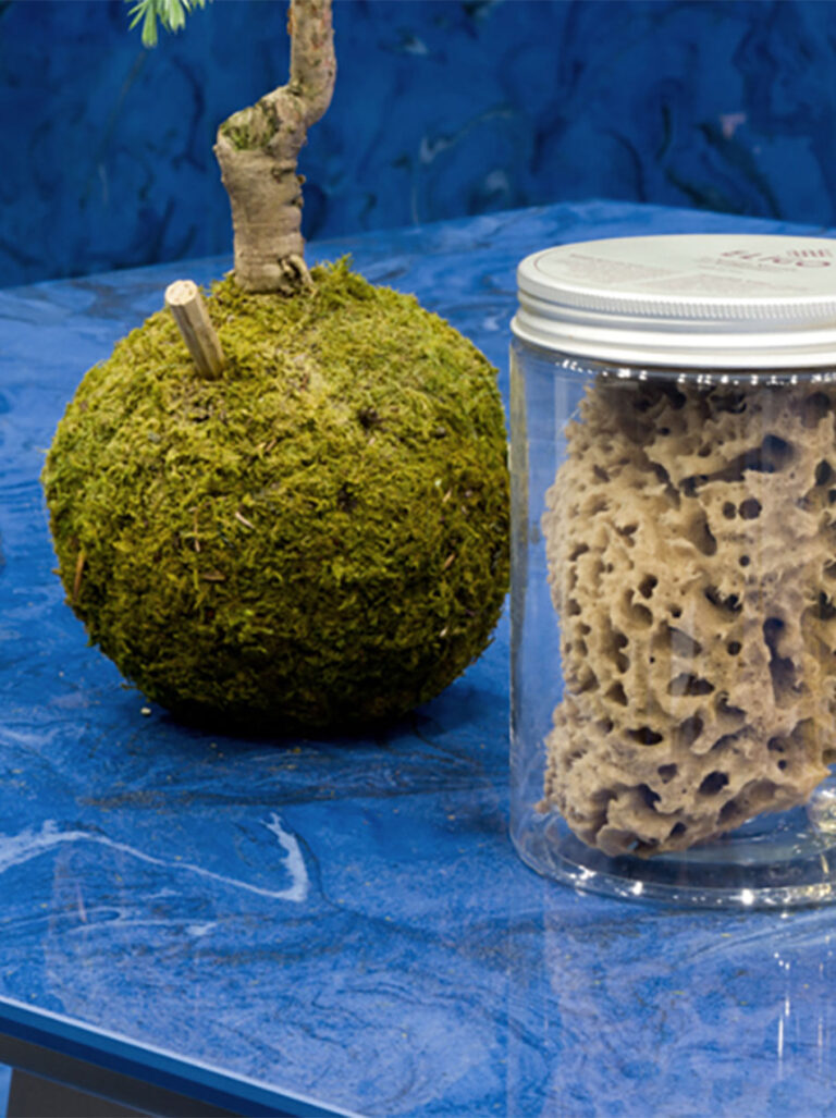 Interiors devised as an ecosystem